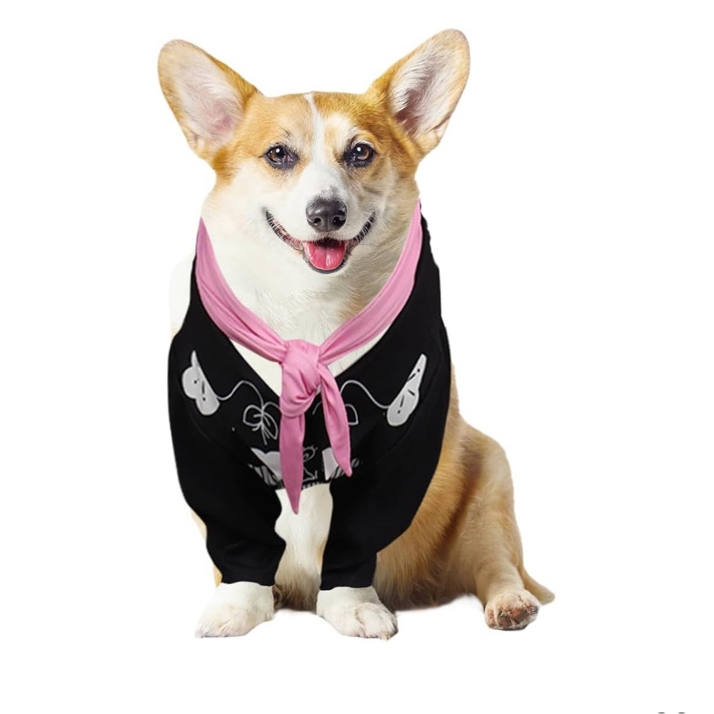 Barbie Dog “Ken” Costume